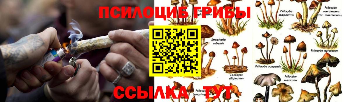 Галлюциногенные грибы GOLDEN TEACHER  Псилоцибиновые грибы мицелий  Славгород  Вход с VPN 